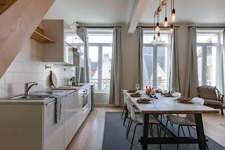 Huswell - Apartment With Large Terrace In The City Of Ghent Belgium